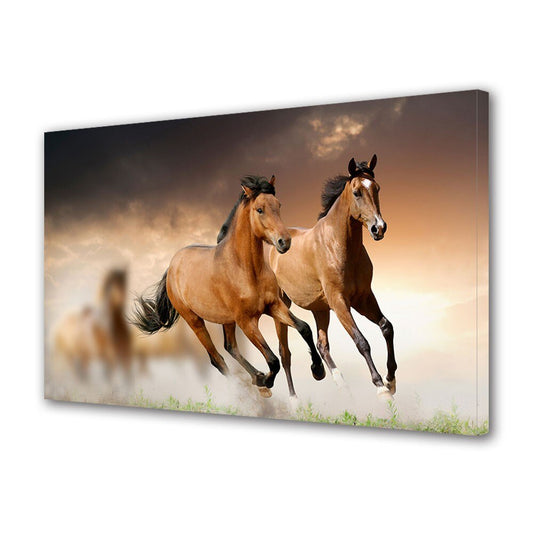 Tablou Canvas  Cai alergand, 40 x 60 cm